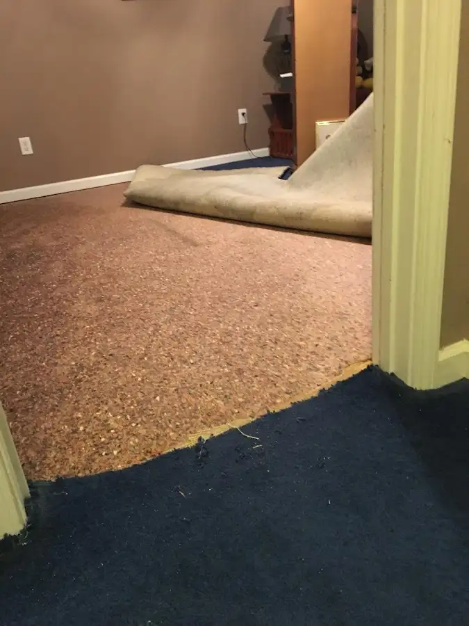 Carpet pad removal revealing water damage during Drying & Dehumidification in Homeland