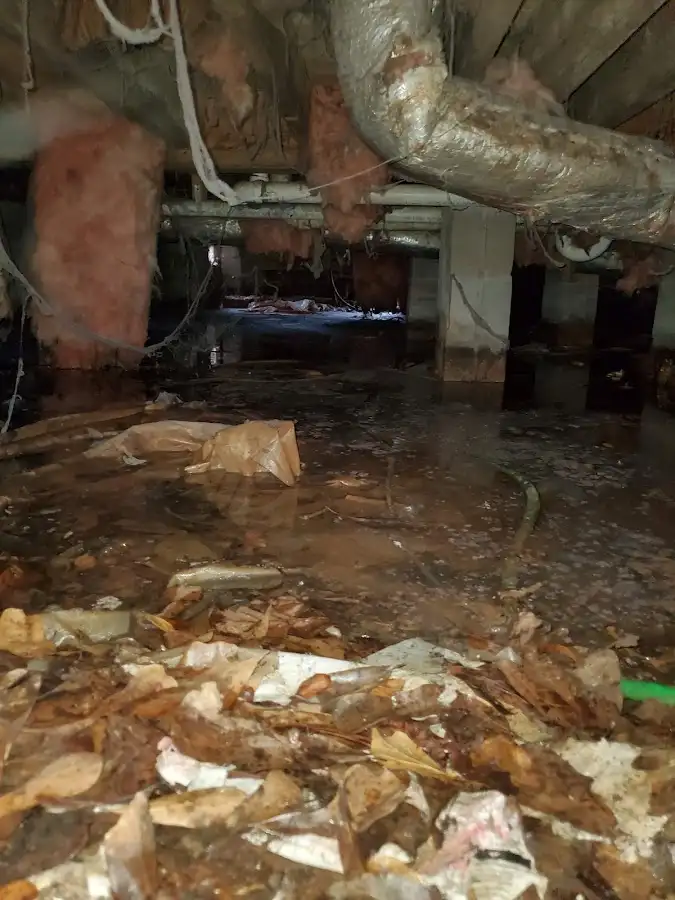 Crawl space flood assessment for Commercial Water Damage Restoration in Homeland