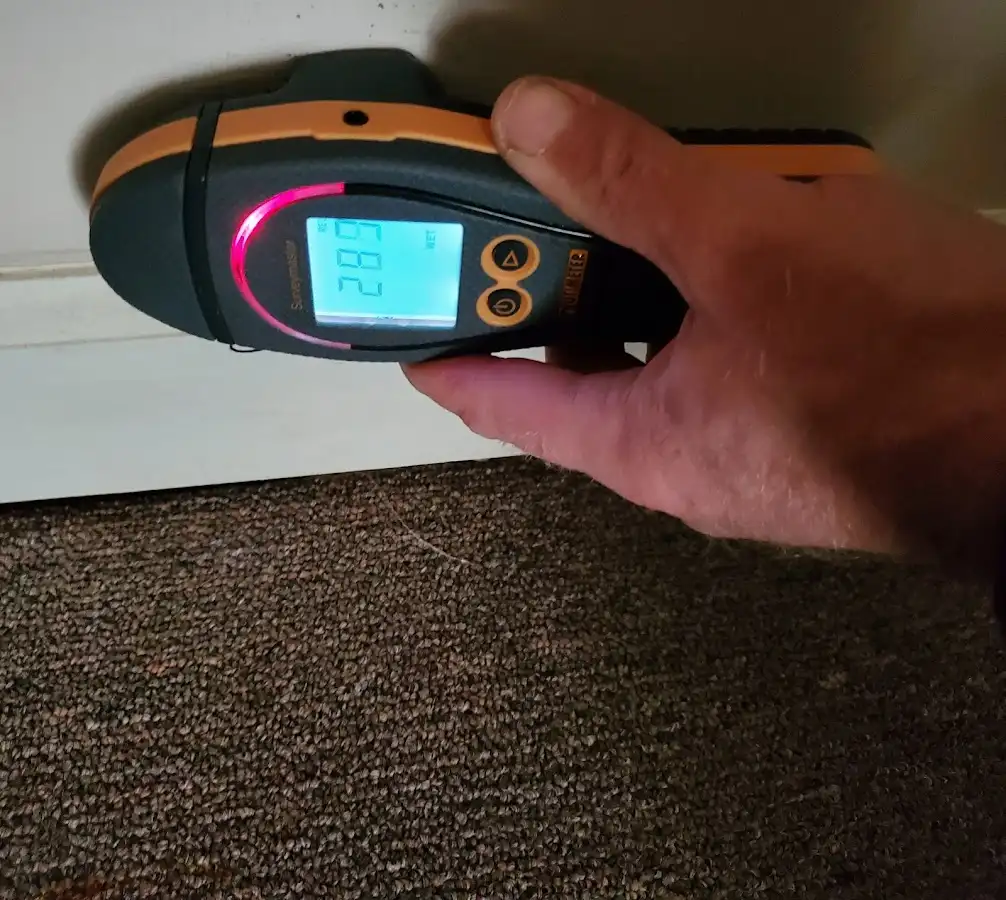 Moisture detection at baseboard during Mold Inspection & Testing in Homeland